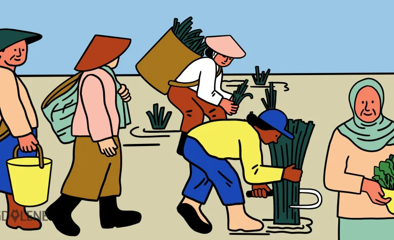 When the Men Leave, Women Hold Up the Fields—But Structural Injustice Remains